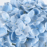 Baby Blue Hydrangea Artificial Flowers 3Pcs Lifelike Faux Hydrangea Real Touch Fake Flowers For Home Wedding Christmas Office Party Living Room Decoration,22Inch