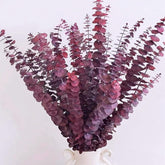 16 Pcs Dried Fall Eucalyptus Stems Red, Christmas Burgundy Dried Flowers For Vase, Home Decor, Real Eucalyptus Orange Brown, Eucalyptus Plant, 17" Fall Floral Stems Decorations Arrangement
