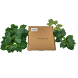 Artificial Foliage 40Pcs, Decorative Greenery Foliage, Set Of Stems Bulk Silk Greenery Fake Rose Flower Leaves For Diy Wedding Bouquets Bridal Shower Centerpieces Home Decorations