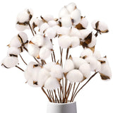 Cotton Stems 8 Packs With 15 Bolls, Natural Dried Flowers Cotton Sprigs For Vase Fillers And Floral Arrangements - Fall Decorations And Diy Crafts