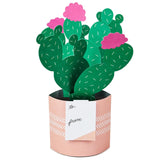 Hallmark Paper Wonder Mother's Day Pop Up Card (Potted Cactus) for Birthday, Thinking of You, Congrats, Get Well, Appreciation, Any Occasion