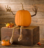 Plow & Hearth Set of 4 Bendable Pumpkin Arms and Legs | Twisting Vines for Halloween Pumpkin Carving DIY Crafts for Kids | Includes 2 arms and 2 Legs | Outdoor & Indoor Halloween Decorations