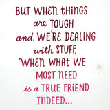 Hallmark Mother's Day Card for Sister (True Friends)