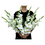 Pack Of 10 - Artificial Gladiolus Silk Orchids Flower Stems Fake Dendrobium Flowers Daffodils For Home Garden Party Wedding Decoration (White)