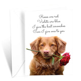 Golden Retriever Valentine'S Day Card Dog Roses Are Red Poem, Made In America, Eco-Friendly, Thick Card Stock With Premium Envelope 5In X 7.75In, Packaged In Protective Mailer