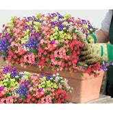 18 Bundles Artificial Flowers For Outdoors No Fade Fake Plants Faux Flowers For Spring Summer Decor, Uv Resistant Artificial Outdoor Plants For Outside & Indoor Planter Porch Balcony Patio Decor - Mix