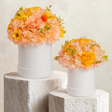 Preserved Flowers In A Box (Champagne, Small)
