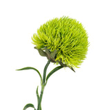4Pcs Fake Dianthus Artificial Greenery Stem Realistic Green Tricks For Home Kitchen Wedding Courtyard Decoration(Light Green)