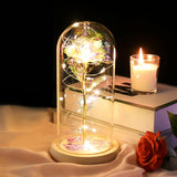 Mothers Day Flowers Gifts For Mom, Birthday Gifts For Women, Galaxy Glass Rose Gifts For Grandma Wife Daughter Artificial Forever Preserved Flowers For Delivery Prime Rose In Glass Dome, Rainbow