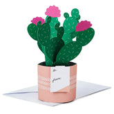 Hallmark Paper Wonder Mother's Day Pop Up Card (Potted Cactus) for Birthday, Thinking of You, Congrats, Get Well, Appreciation, Any Occasion