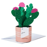 Hallmark Paper Wonder Mother's Day Pop Up Card (Potted Cactus) for Birthday, Thinking of You, Congrats, Get Well, Appreciation, Any Occasion