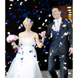 3200 Pcs Artificial Rose Petals For Romantic Night, Fake Rose Flower Petals For Wedding, Party, Valentines Day Decorations For The Home (Blue)