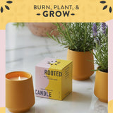 Rooted Candle - 2 In 1 Cedarwood Scented & Soy Candle With Seeds That Grows Into Lavender Plant - 6 Oz W/ 42 Hr Burn Time In Matte Glaze Ceramic Vessel Ideal For Indoor Herb Garden