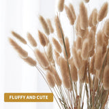 120Pcs 17" Bunny Tails Dried Flowers Brown Pampas Grass Natural Rabbit Tail Grass Dry Floral Arrangement For Boho Wedding Decor,Baby Birthday Party