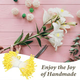1600Pcs Double Heads Flower Stamen, Matte Stamens For Flower Making, Stamens For Crafts Artificial Pearlized Floral, Scrapbook Decoration For Artificial Flowers Diy Wedding Party Home Scrapbook