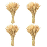 400 Stems Natural Dried Wheat Stalks, 18 Inches Dried Wheat Grass Bundle Wheat Sheaves Wreath For Flowers Arrangement Wedding Table Centerpieces Home Kitchen Office Diy Party Décor
