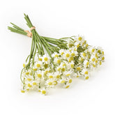 2 Bundles Small Artificial Daisy Flowers Bouquet Faux Silk Tiny Daisy Flowers For Home Garden Vase Decor (White)