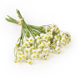 2 Bundles Small Artificial Daisy Flowers Bouquet Faux Silk Tiny Daisy Flowers For Home Garden Vase Decor (White)