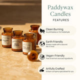 Paddywax Artisan Apothecary Scented Candle with Lid in Reusable Glass Jar, Clean-Burn Soy Candle with Approx. 54 Hour Burn Time, Pumpkin & Spice, 8 oz.