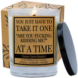 You Just Have To Take It, Funny Candles Gift For Women Friends Mom, Bff, Girlfriend, Boyfriend, Inappropriate Candles With Funny Sayings, Lavender Scented, Made In Usa