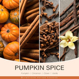 Pumpkin Candle, Hello Fall Gifts- 9Oz Aromatherapy Cinnamon Pumpkin Spice Soy Wax Candle For Home Scented- Autumn Gifts For Women, Men, Fall Decorations For Home