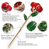 Gold Dipped Infinity Rose - Eternal Resin-Preserved Rose | Forever Flower Decor For Birthdays, Mother’S Day, Anniversaries | Unique Gift For Women, Mom, Wife (Red)