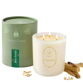 Palo Santo - Palo Santo & Bergamot Pure Beeswax Candle - 90+ Hours Long Burning Classically Designed Non-Toxic Scented Candles For Home Decor And Aromatherapy To Stress & Anxiety Relief - 15 Oz
