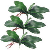 Phalaenopsis Orchid Leaves Fake Leaves Real Latex Touch Plants Arrangement