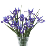 10Pcs Artificial Iris Flowers With 27.5" Long Stem Realistic Faux Silk Iris Flowers For Wedding Centerpieces Bridal Bouquet Home Kitchen Party Décor Flower Arrangements(Deep Purple)