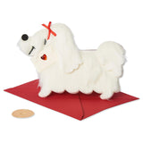 Dog Valentines Day Card (Special Delivery)