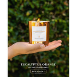 Eucalyptus Orange Wood Wick Candles | Soy Christmas Scented Candles For Home | Holiday Candle Gifts For Women And Men | Home Fragrance | Aromatherapy | Shelf Decor | 8Oz, 45 Hour Burn