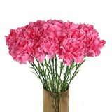 Pink Carnations Artificial Flowers 15Pcs Carnations Flowers Silk Flowers 21.25In Fake Flowers For Wedding Home Table Centerpieces Floral Arrangements(Hot Pink)