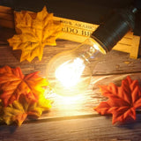 6-Pack Edison Light Bulbs 60W A19 Vintage Antique E26 Dimmable Incandescent Amber Warm White