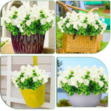 8Pack Artificial Outdoor Plants Flowers Uv Resistant Plastic Flowers Set Spring Garden Decor (8, White)