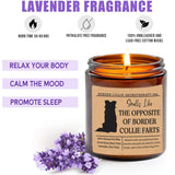 Smells Like The Opposite Of Border Collie Farts Candle - Funny Dog Gifts For Dog Lovers - Scented Candle For Border Collie Mom - Candle Gifts For Pet Lovers - Funny Dog Fart Candle
