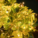2 Pack Fairy Lights 100 Led 33 Ft Christmas Lights Usb Powered Silver Wire String Lights, Mini Lights With Remote Contro
