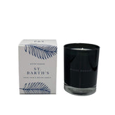 Mister Morgan St. Barth's Royal Palm and Nectar Candle, 11 Ounces