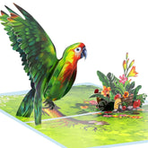 Parrot Birthday Pop Up Card, Happy Mother'S Day Cards, For Women, Mom, Wife, Daughter, Grandma, Includes Envelope.