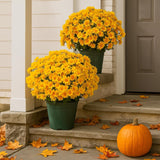 5Pcs Funsdecor Artificial Sunset Mums, Waterproof & Windproof Fake Flowers For Outdoor Fall Decor, Realistic Daisy With Eucalyptus, Full & Vibrant Look (Yellow)