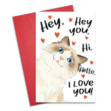 Funny Cat Valentines Day Card For Him Her, Cute Anniversary Card For Husband Wife, Cat Birthday Cards For Friends Bestie, Pet Lover Vday Cards Gifts