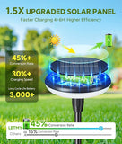 8 Pack Durable Metal Solar Pathway Lights IP65 Waterproof Auto On Off Garden Lights