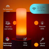 T10 Smart LED Tube Bulb E26 Color Changing Dimmable Tunable White Matter Compatible Light