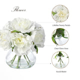 White Peonies Artificial Flowers With Glass Vase, Silk Faux Peony Flower Arrangement With Faux Water, Fake Flowers In Vase For Table Centerpieces, Shelf Bathroom Decor, Home & Wedding Decoration