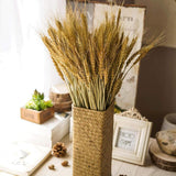 100 Pcs Dried Wheat Sheaves Bundle Golden Natural Wheat Bouquet Bunch Dried Flowers Arrangement For Farmhouse Diy Design Home Table Wedding Party Centerpieces Decor (16")