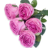 5Pcs Rose Real Touch Artificial Silk Flowers With Stems - Lifelike Latex Austin Rose Peony For Wedding Bouquets, Home Decor, Diy Floral Arrangements