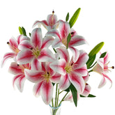12 Artifical Lily Flowers With 9 Heads Full Bloom Lily & 3 Buds, Long Stem Artificial Stargazer Lilies, Faux Tiger Bouquets For Home Hotel Office Party Decor Table Centerpieces?Light Pink?
