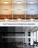 12 Inch Smart RGB LED Ceiling Light WiFi Alexa Google Flush Mount Fixture