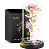 Preserved Forever Valentines Day Flower Gifts For Her, Glass Light Up Rose Gifts For Women Mom Grandma Girlfriend Wife Sister, Valentines Mothers Day Christmas Birthday Womens Gift (Colorful)