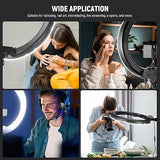 18 Inch Ring Light Kit 55W 5600K Professional LED with Stand Phone Holder and Bag for Studio Video Photography