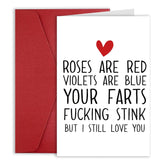 Funny Valentine Day Card Gift Him Her, Rude Anniversary Cards Gift For Men Women, Happy Valentines Day Cards For Boyfriend, Husband, Wife, Girlfriend, Fiancé, Partner, Birthday Cards